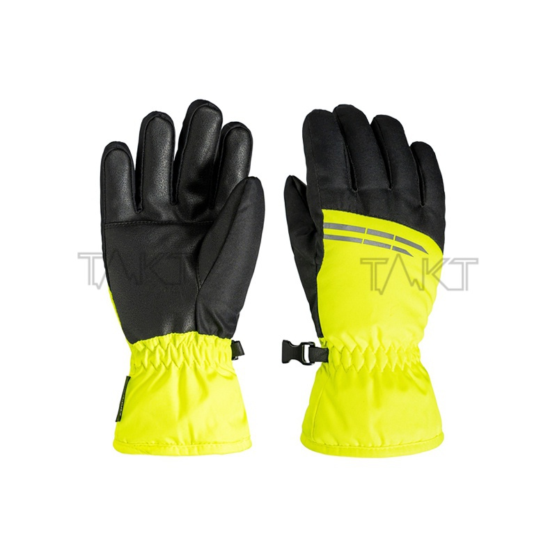 Ski Gloves