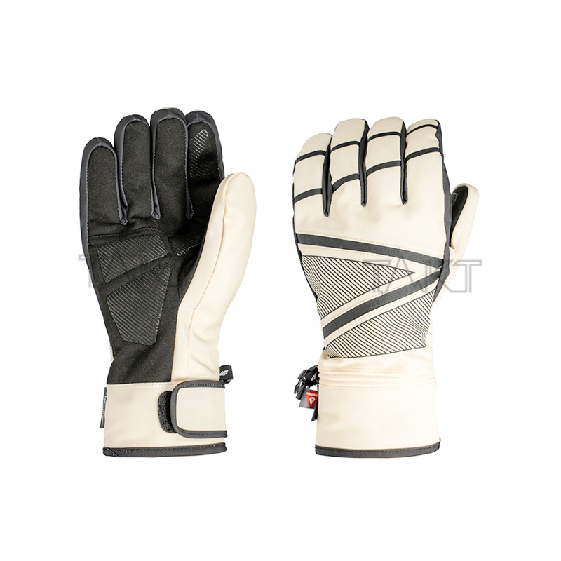 Ski Gloves