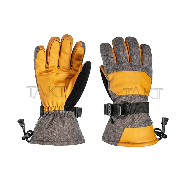 Ski Gloves