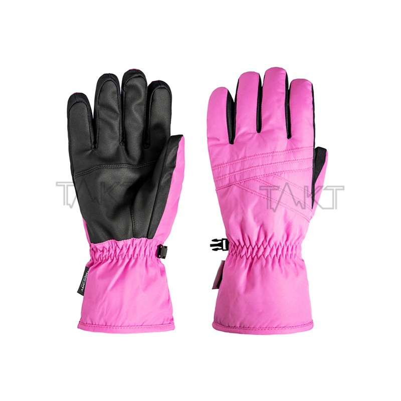 Ski Gloves