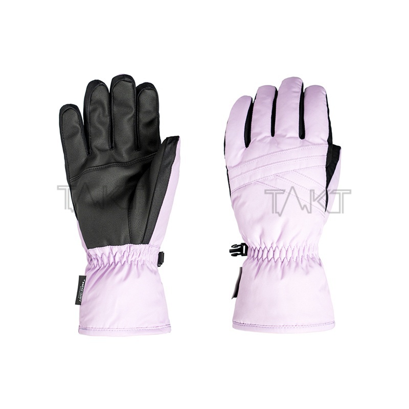 Ski Gloves