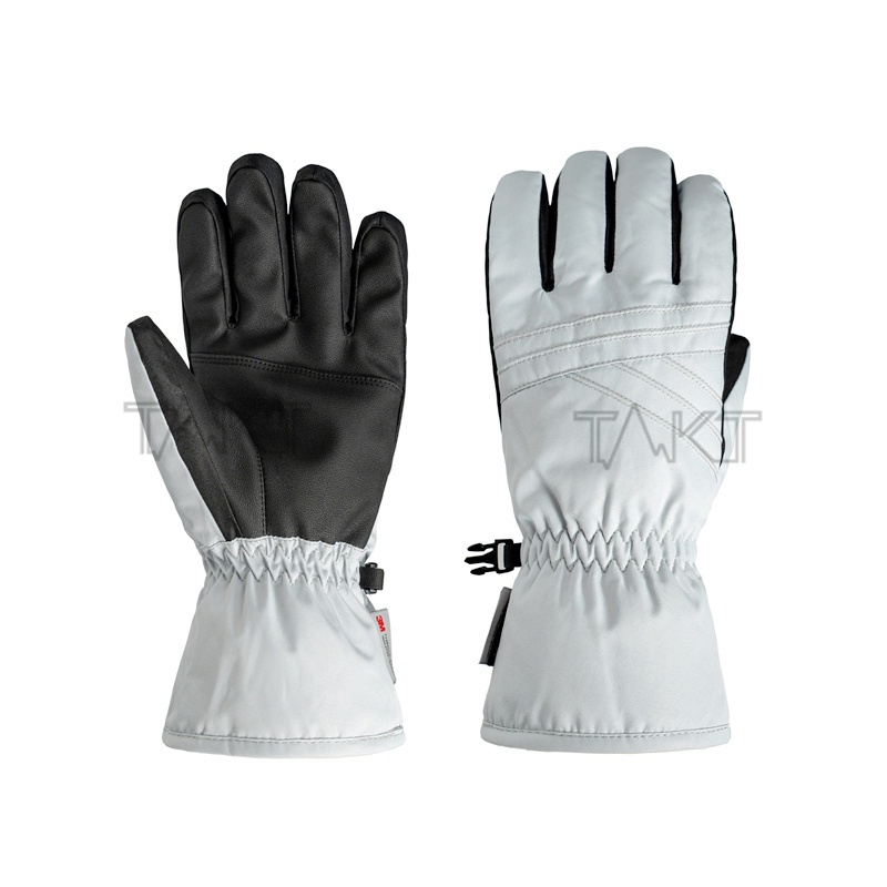 Ski Gloves