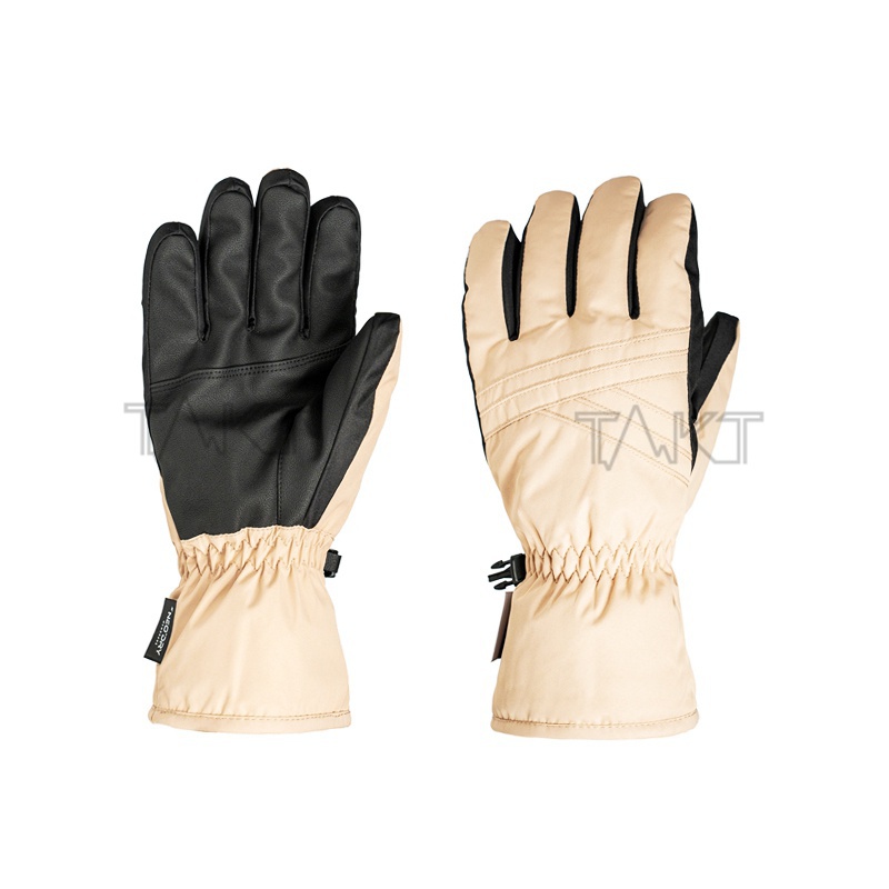 Ski Gloves