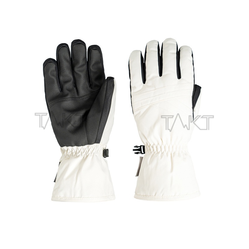 Ski Gloves