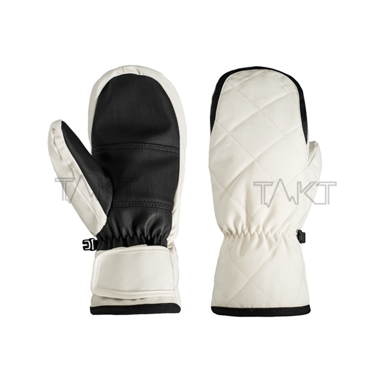 Ski Gloves