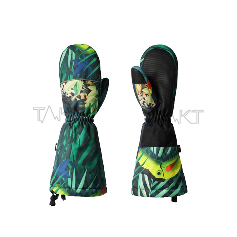 Ski Gloves
