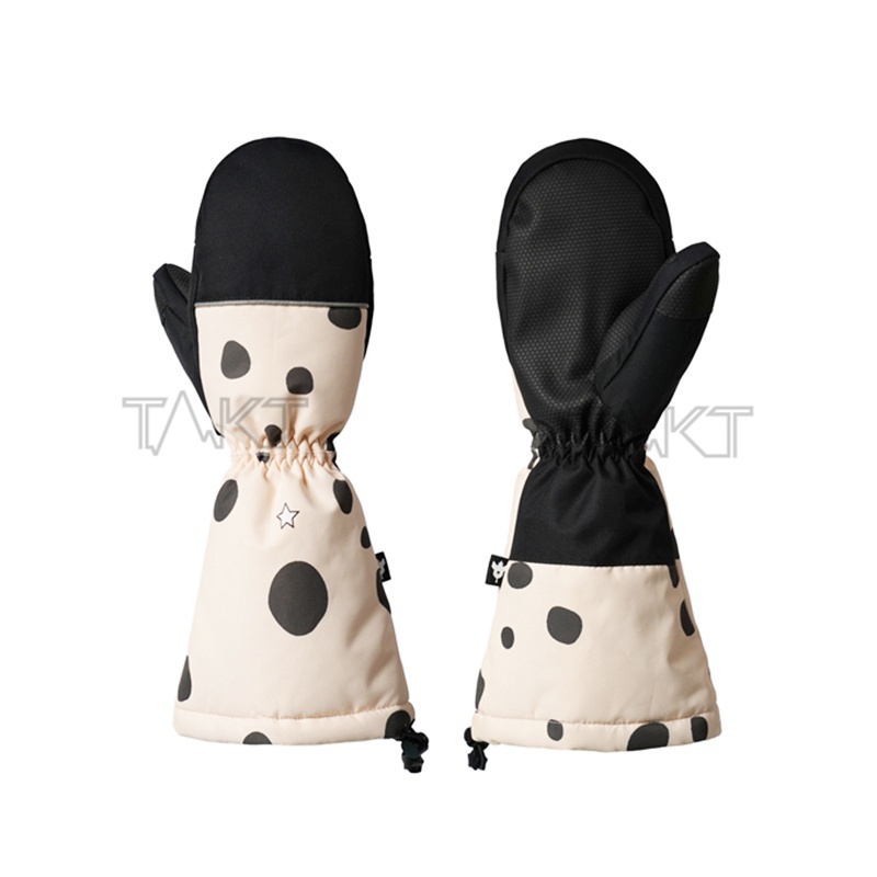 Ski Gloves