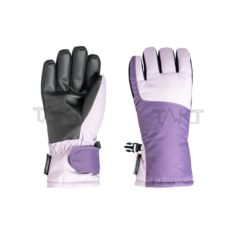 Ski Gloves