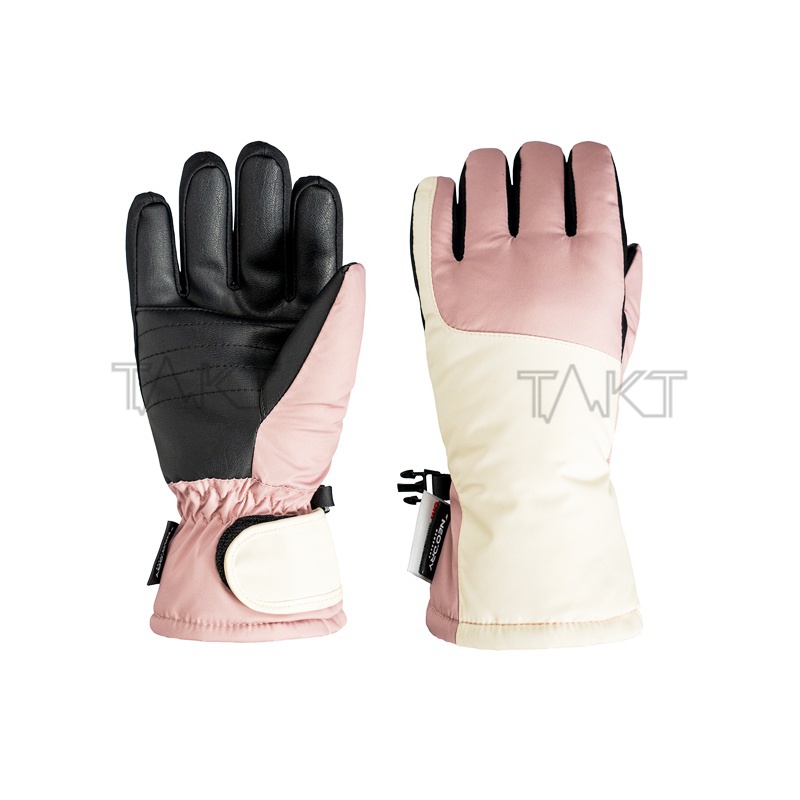 Ski Gloves