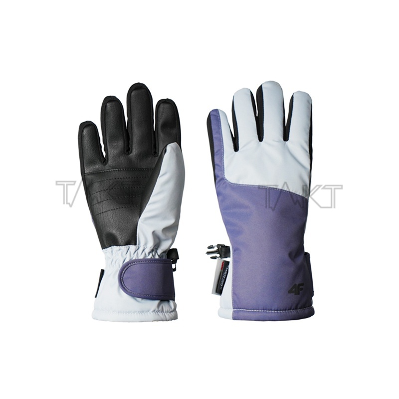 Ski Gloves
