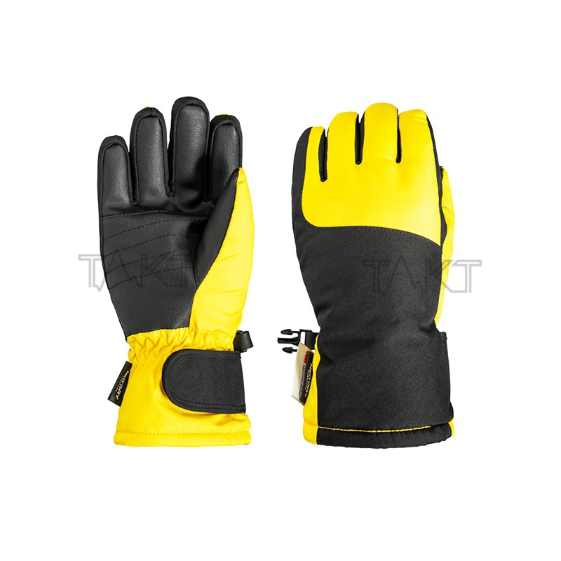 Ski Gloves