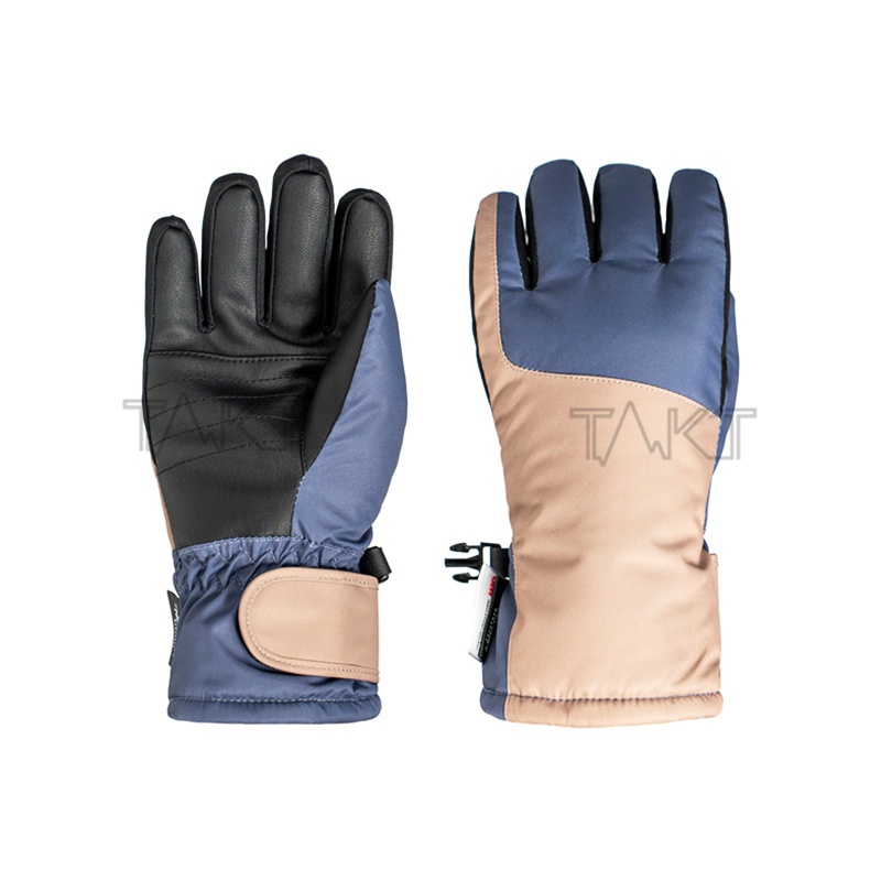 Ski Gloves
