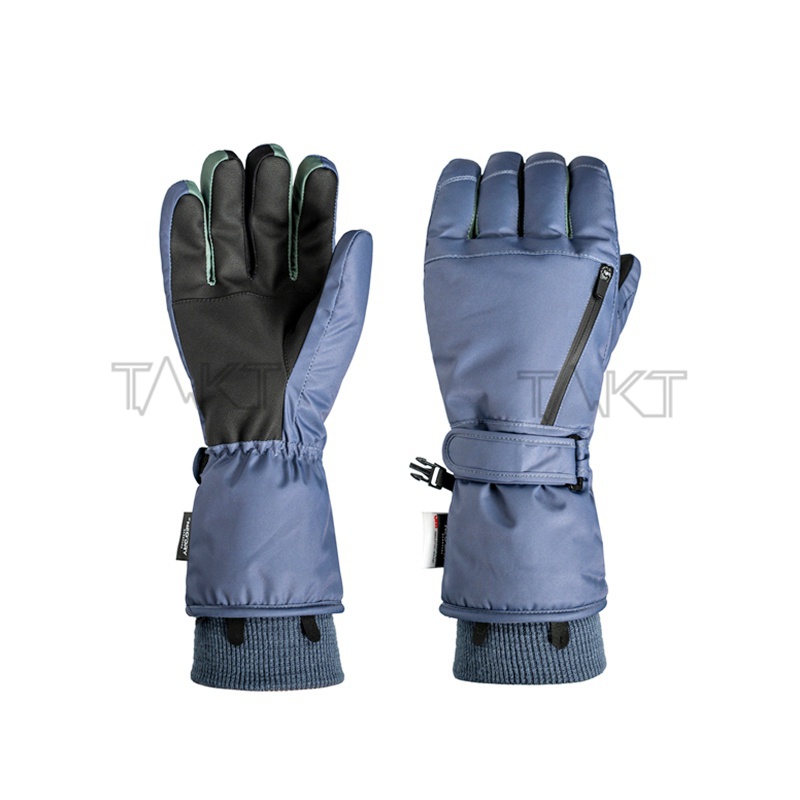 Ski Gloves