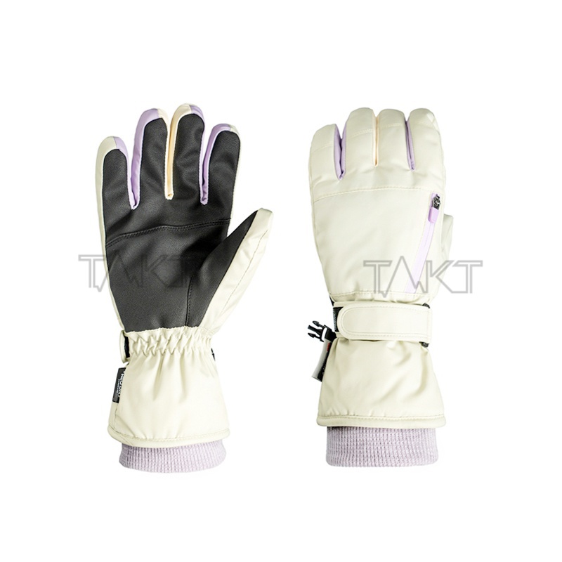 Ski Gloves