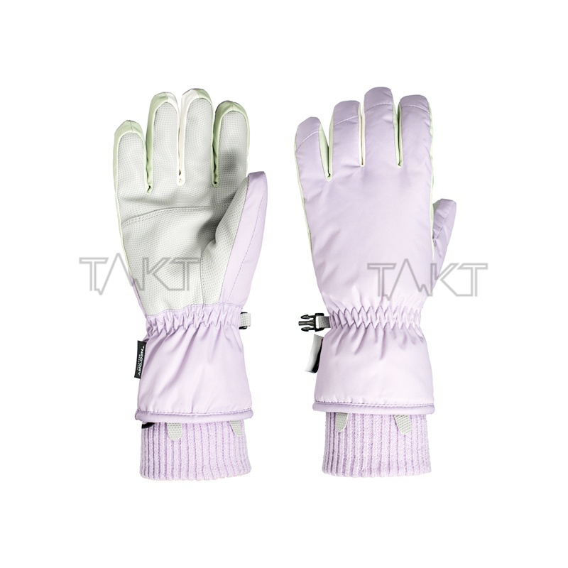 Ski Gloves