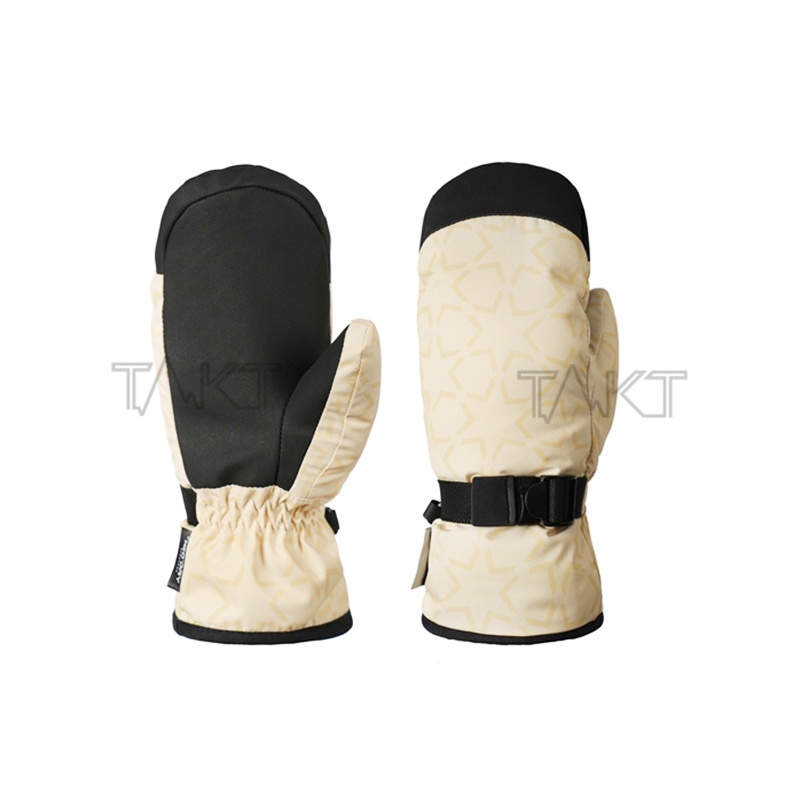 Ski Gloves