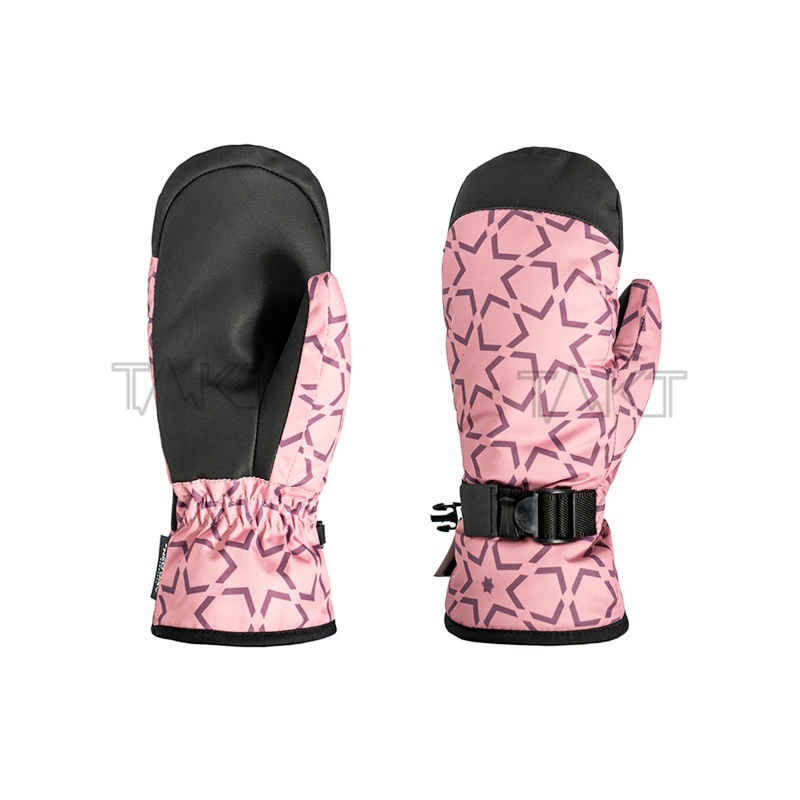Ski Gloves