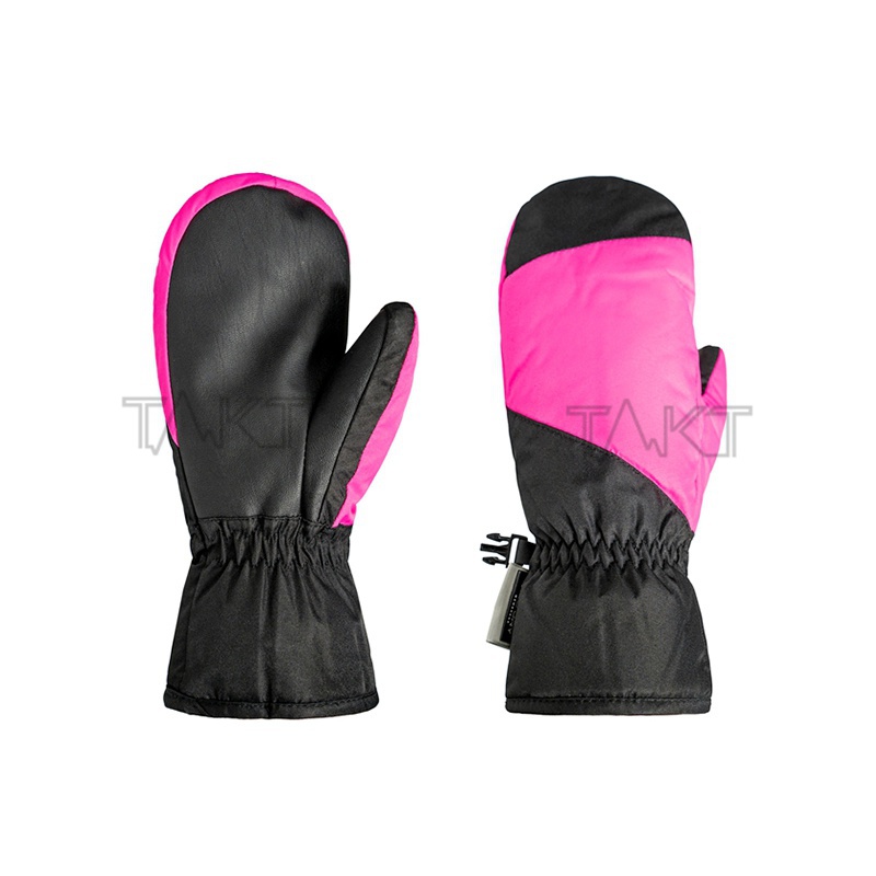 Ski Gloves