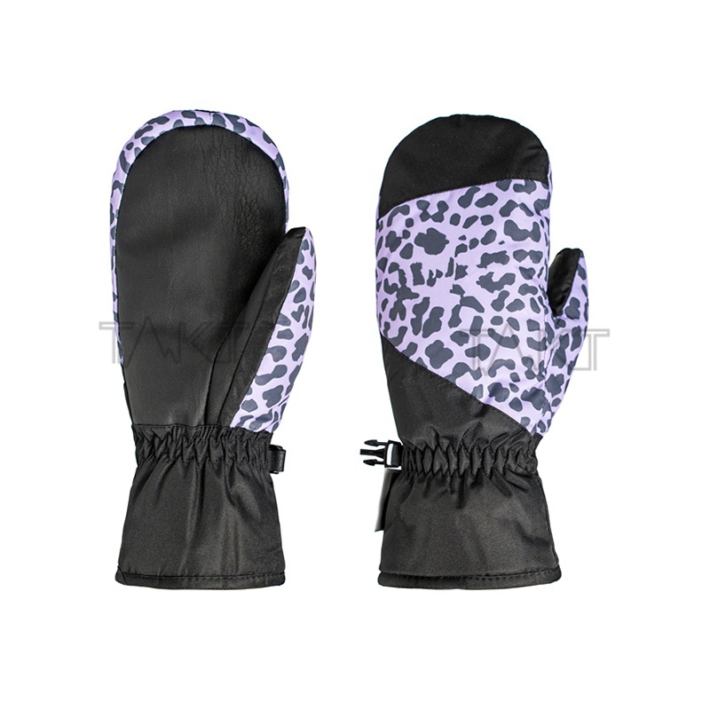 Ski Gloves