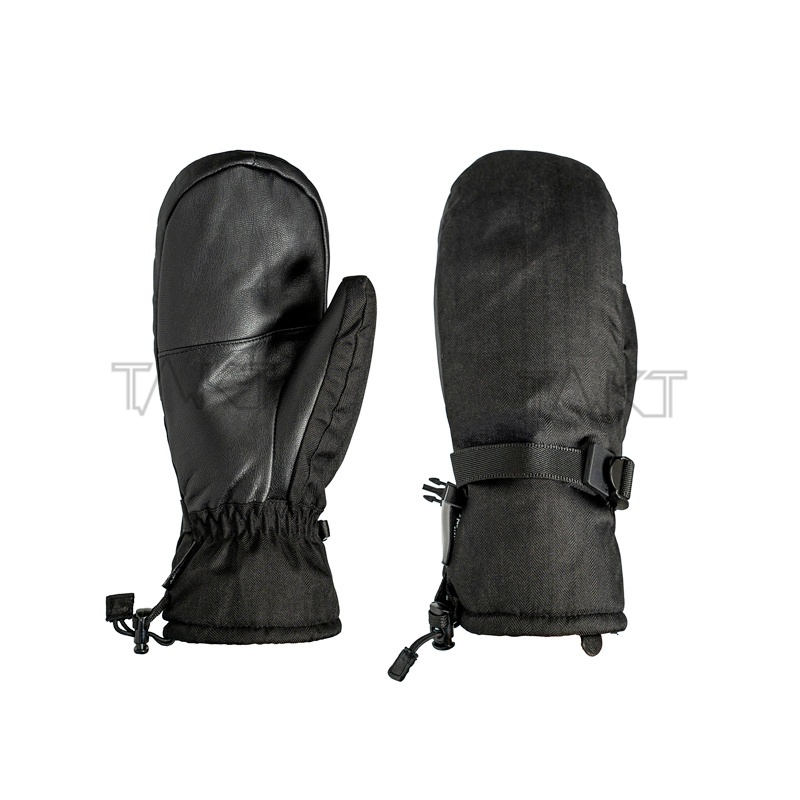Ski Gloves