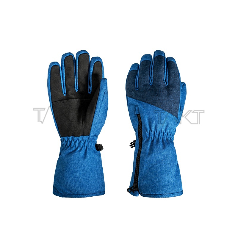 Ski Gloves