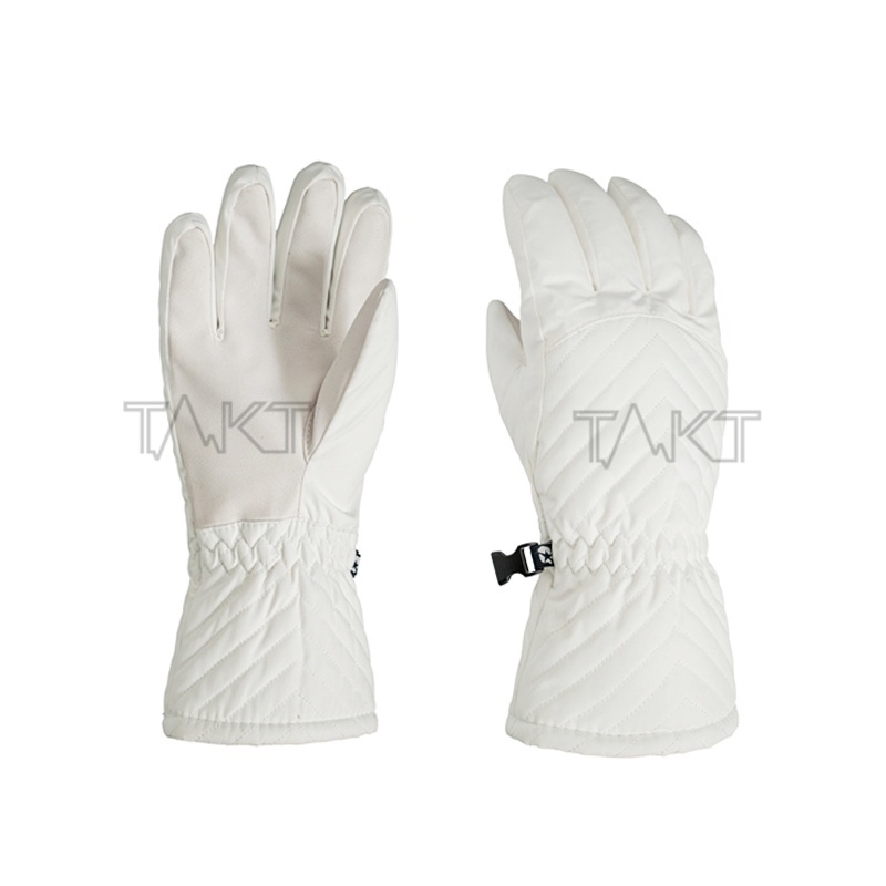 Ski Gloves