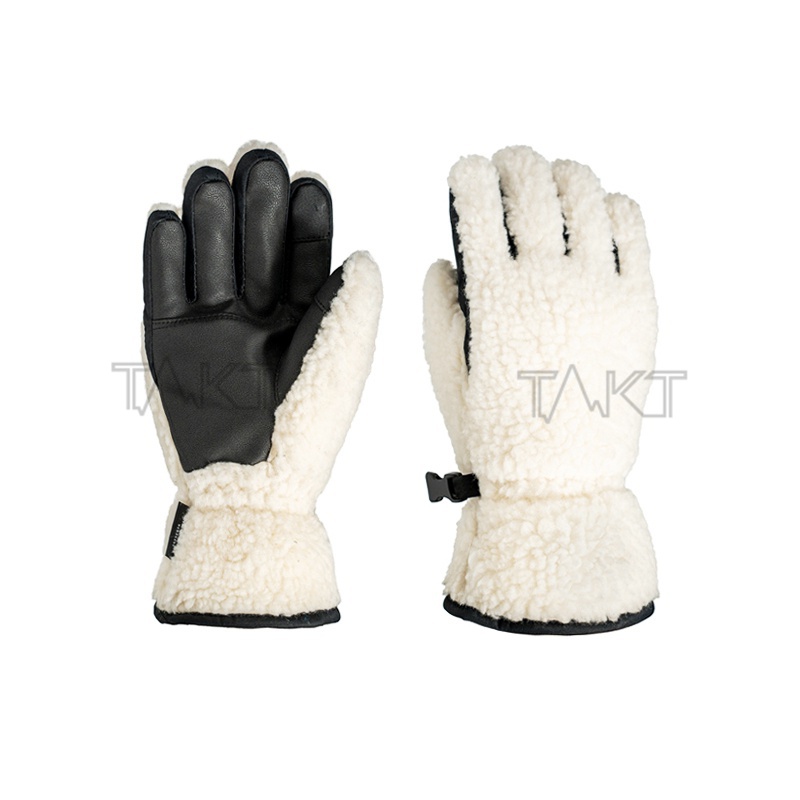 Ski Gloves