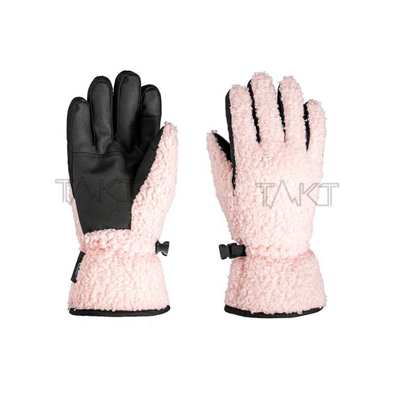 Ski Gloves