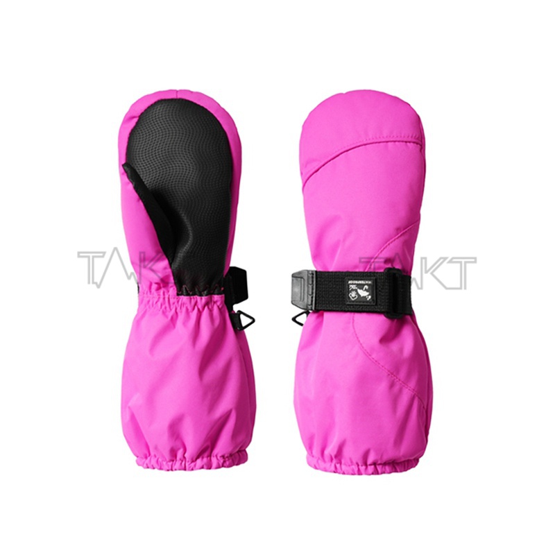 Ski Gloves