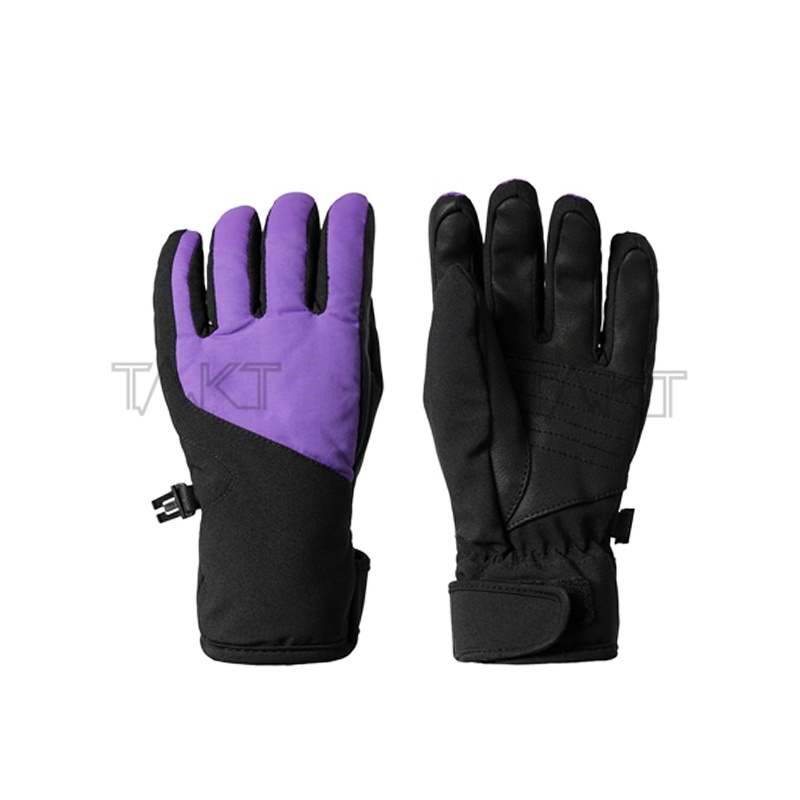 Ski Gloves