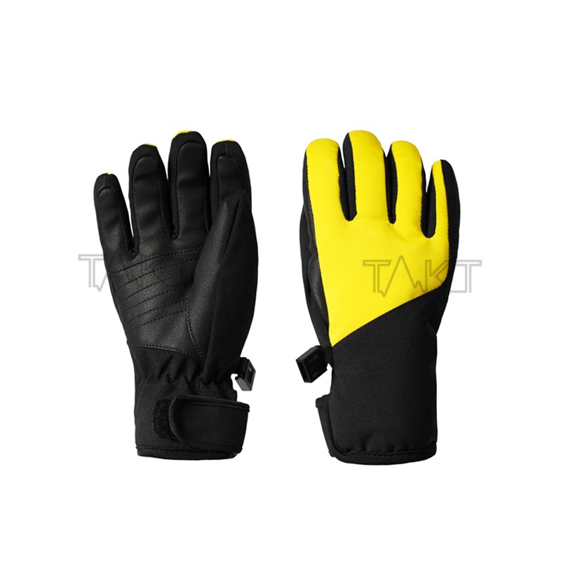 Ski Gloves
