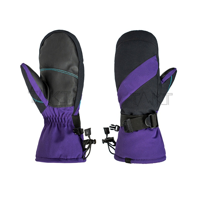 Ski Gloves