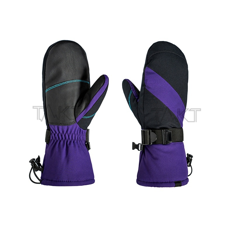 Ski Gloves