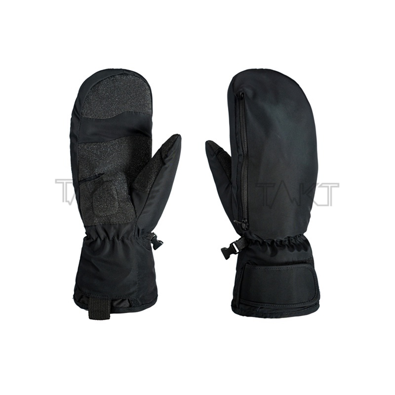 Ski Gloves