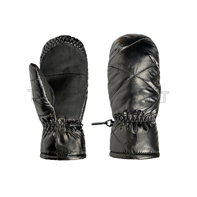 Ski Gloves