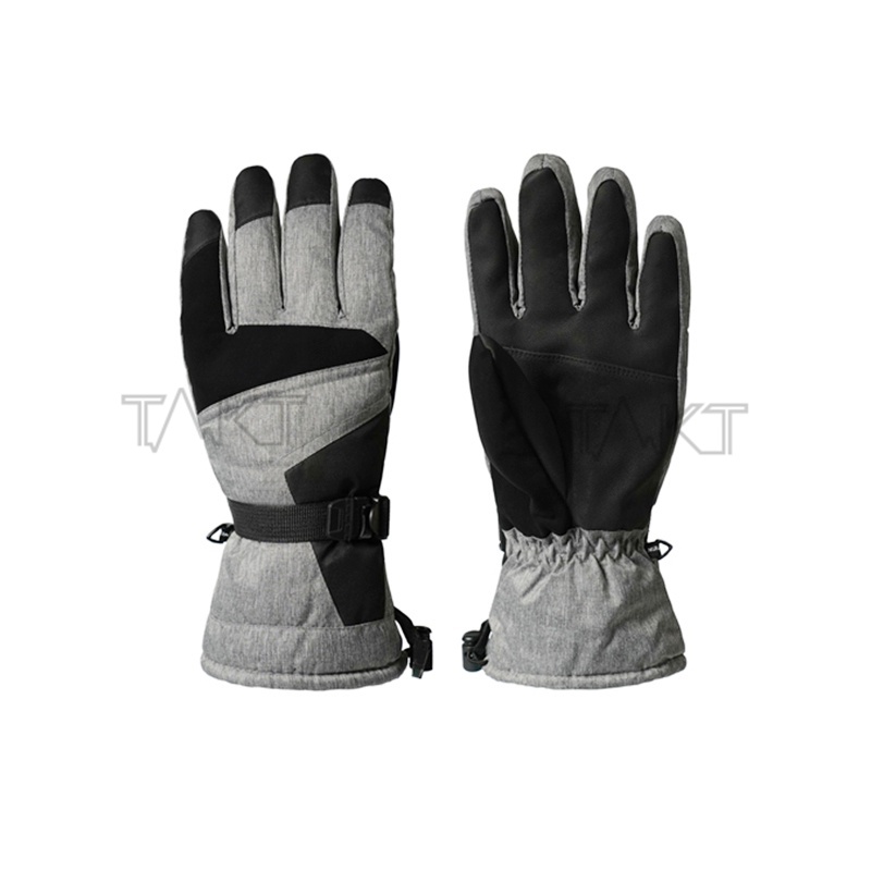 Ski Gloves