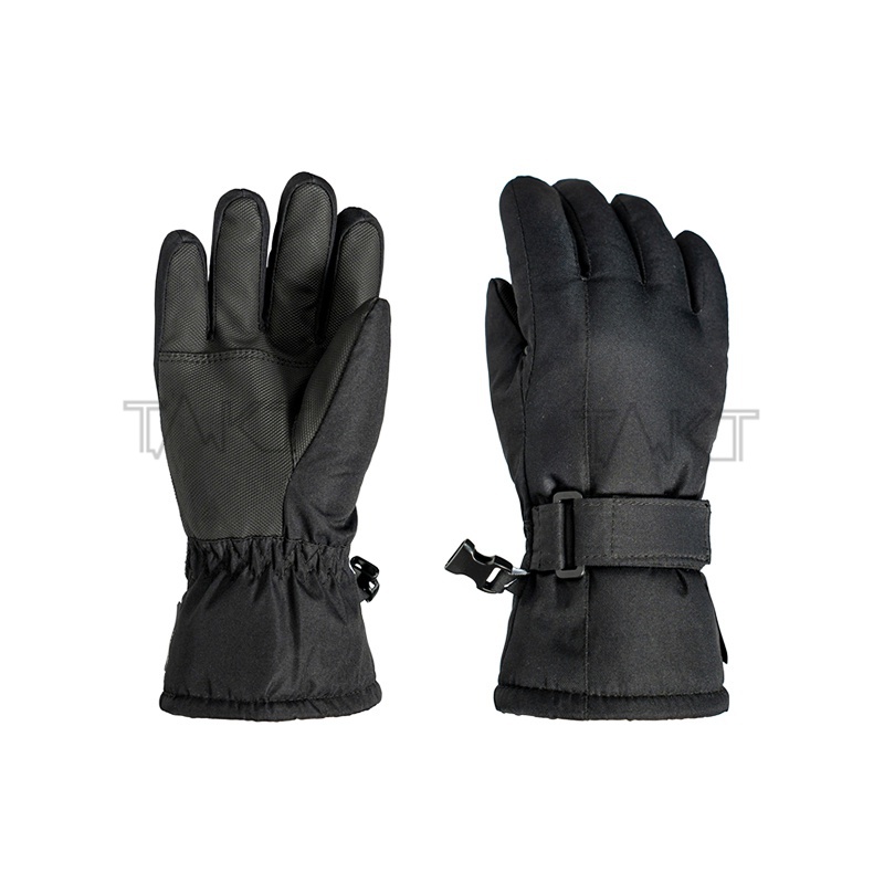 Ski Gloves