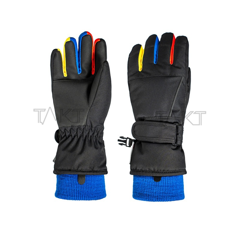 Ski Gloves
