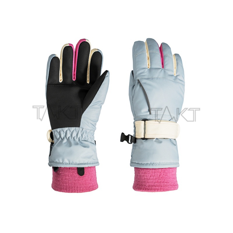 Ski Gloves