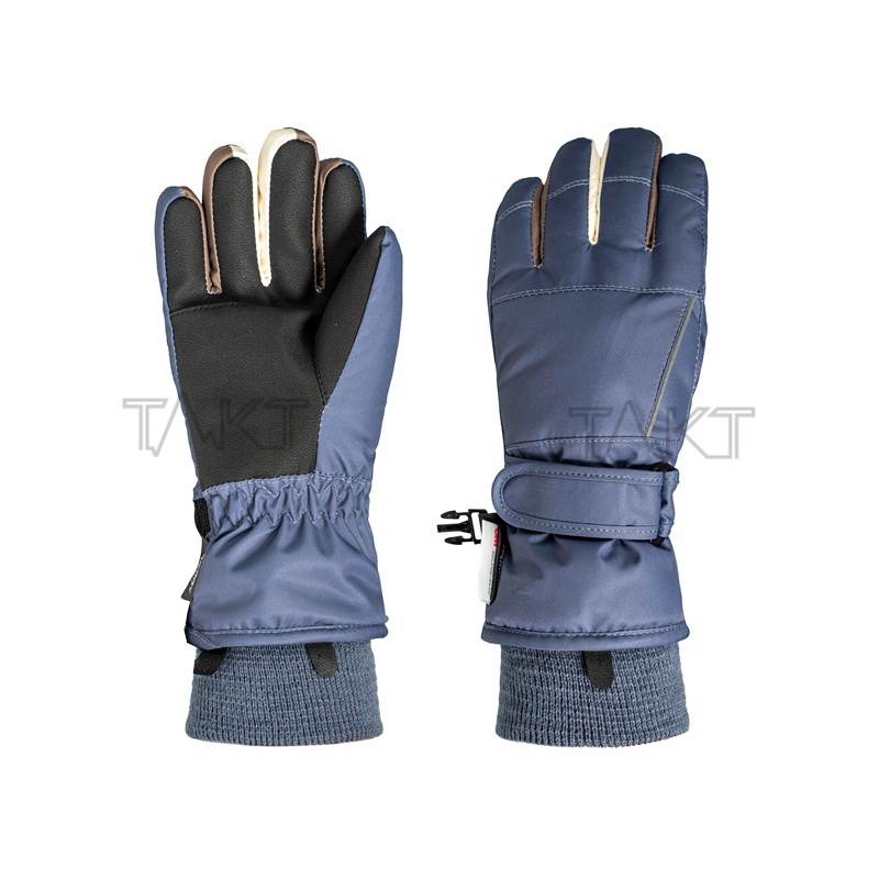 Ski Gloves
