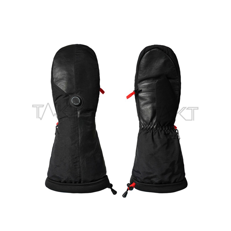 Ski Gloves