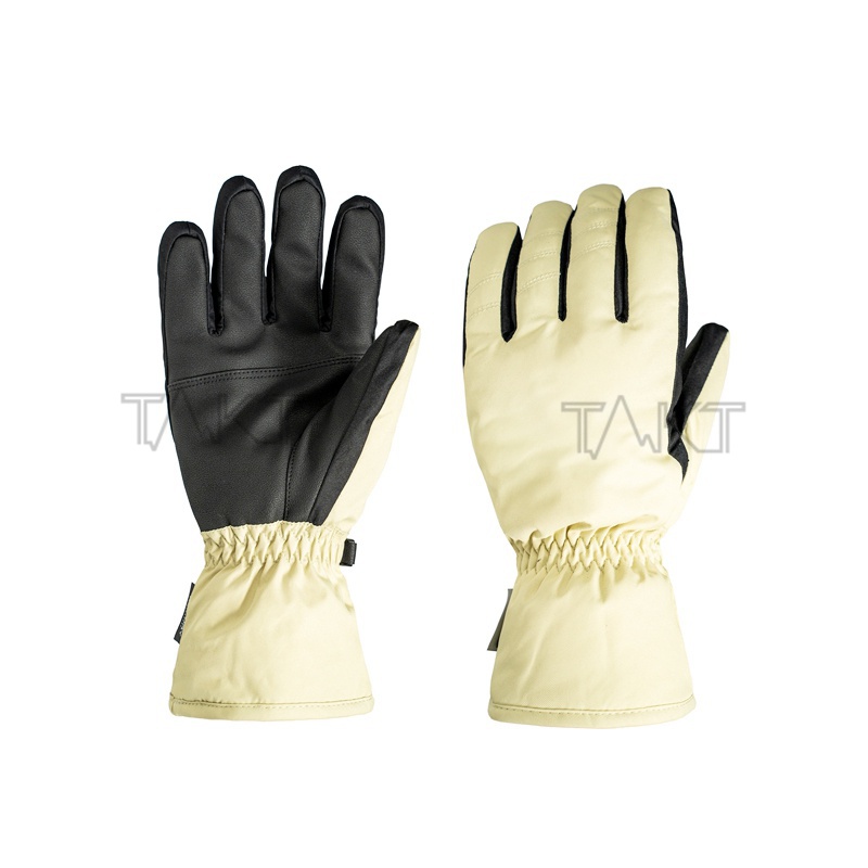 Ski Gloves