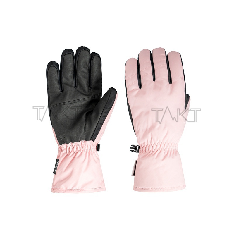 Ski Gloves