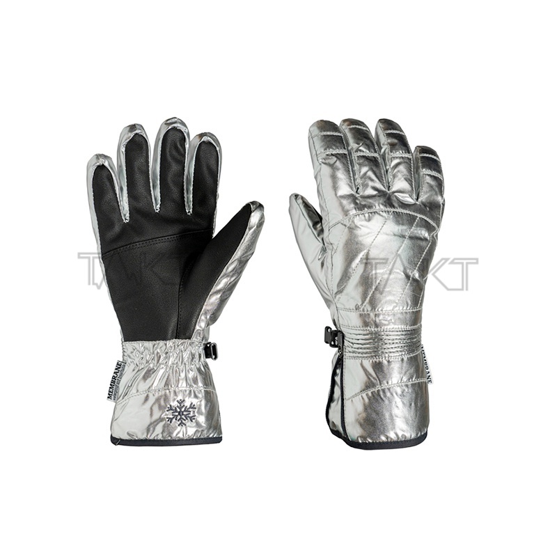 Ski Gloves
