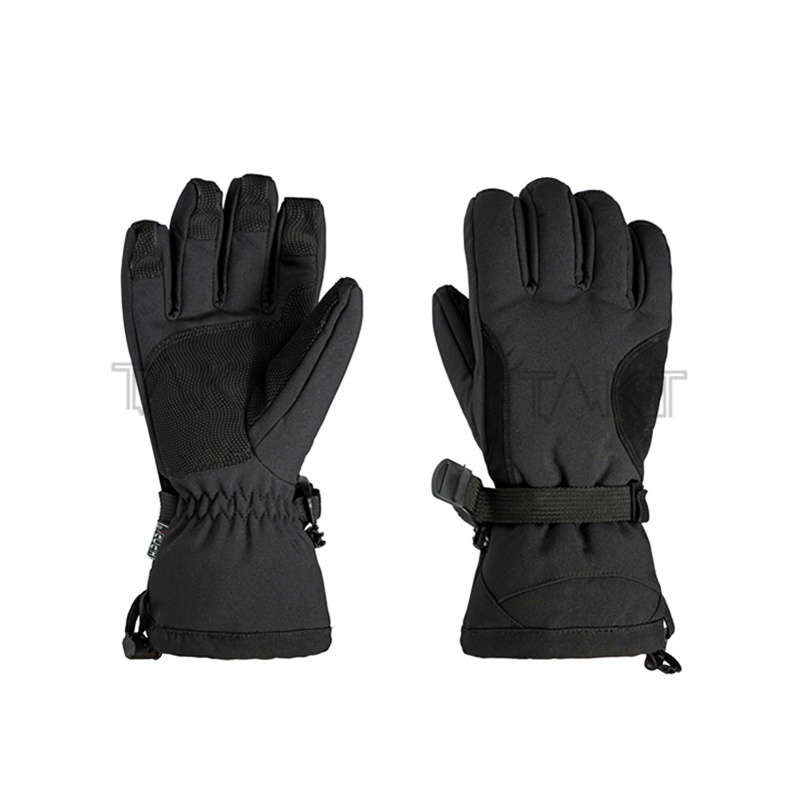 Ski Gloves