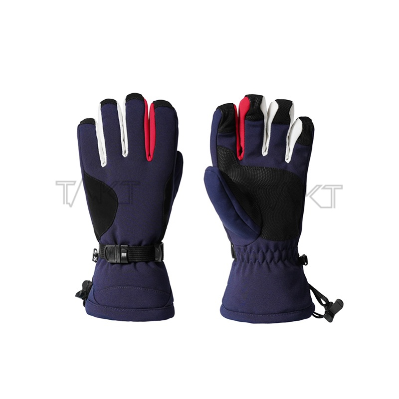 Ski Gloves