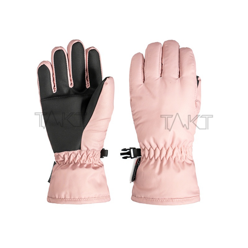 Ski Gloves