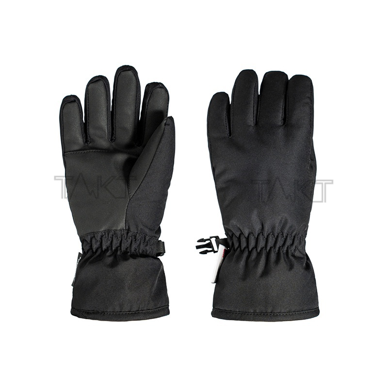 Ski Gloves