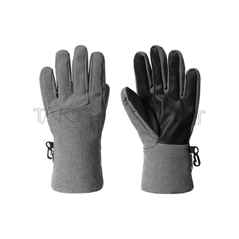 Ski Gloves