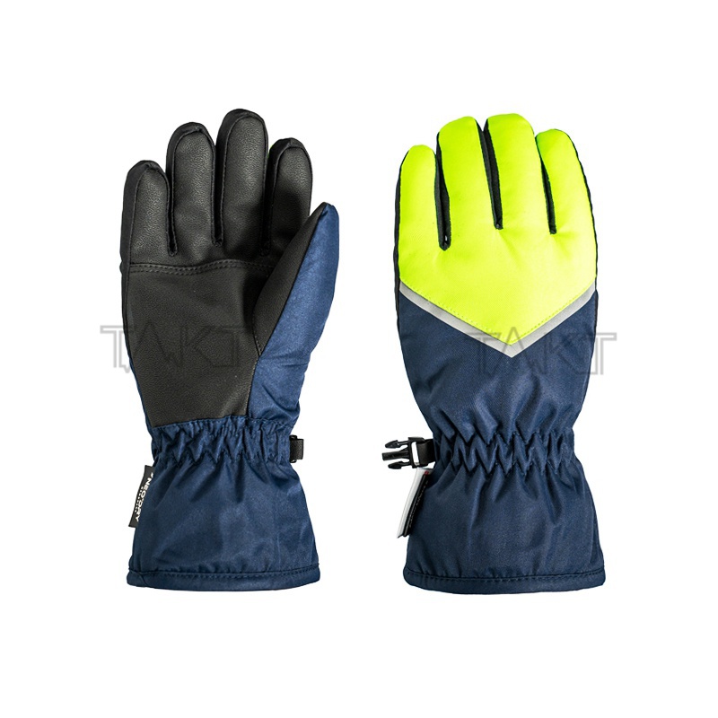 Ski Gloves